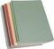 Spiral Notebook, 4 Pcs 4 Color 9.8 Inch x 6.9 Inch B5 Thick Plastic Hardcover 7mm College Ruled Paper 80 Sheets (160 Pages) Journal for School and Office Supplies
